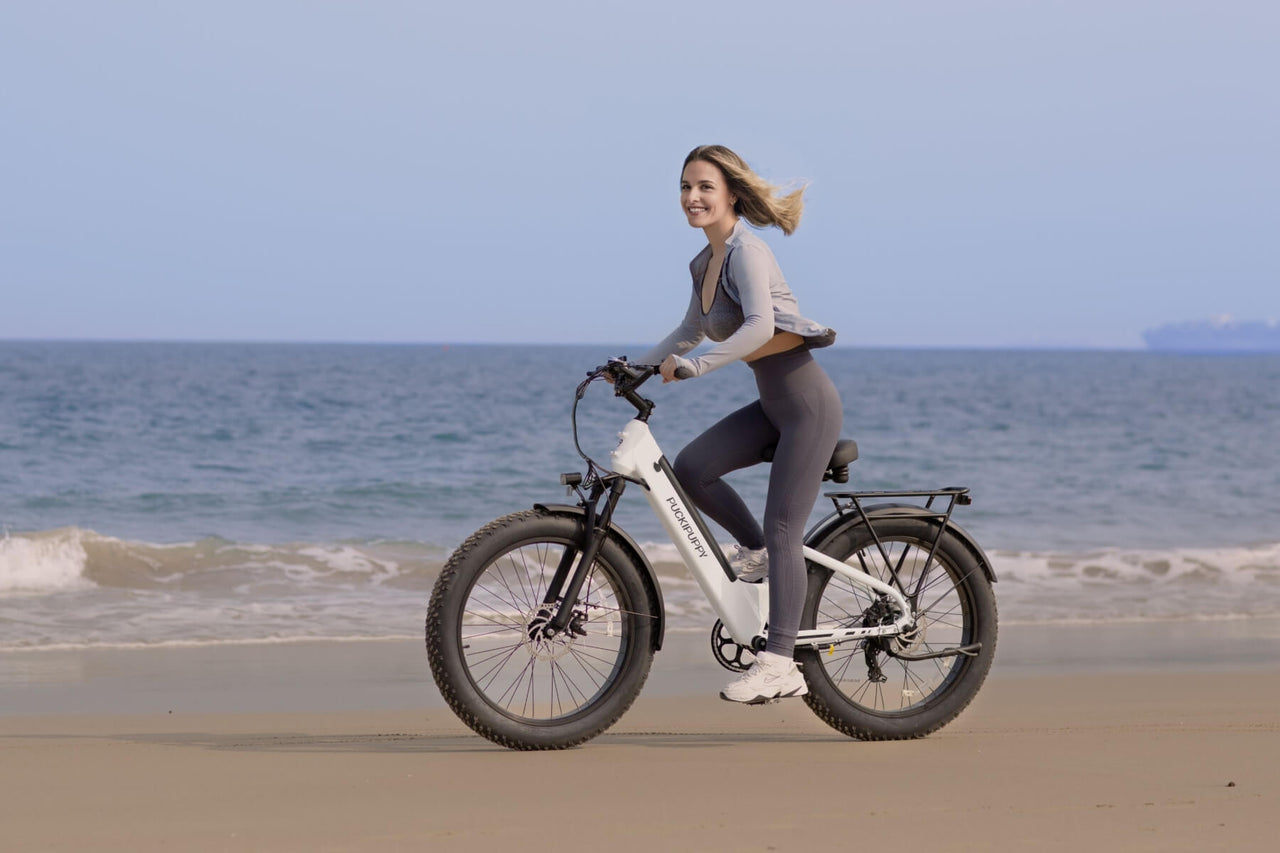 Best Fast Fat Tire Electric Bike For Adults