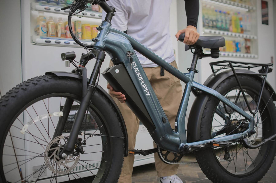 Puckipuppy Commuter & Off-Road Electric Bike Buying Guide