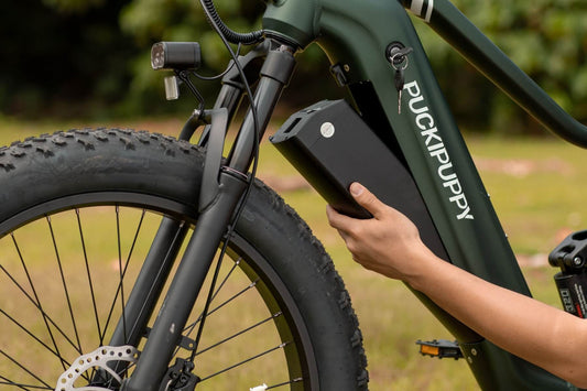 Puckipuppy Buying Guide: How to Choose an Electric Bike