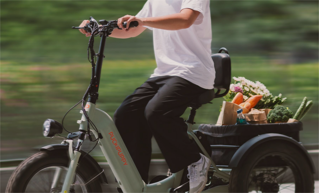 PUCKIPUPPY Husky - electric step through bike