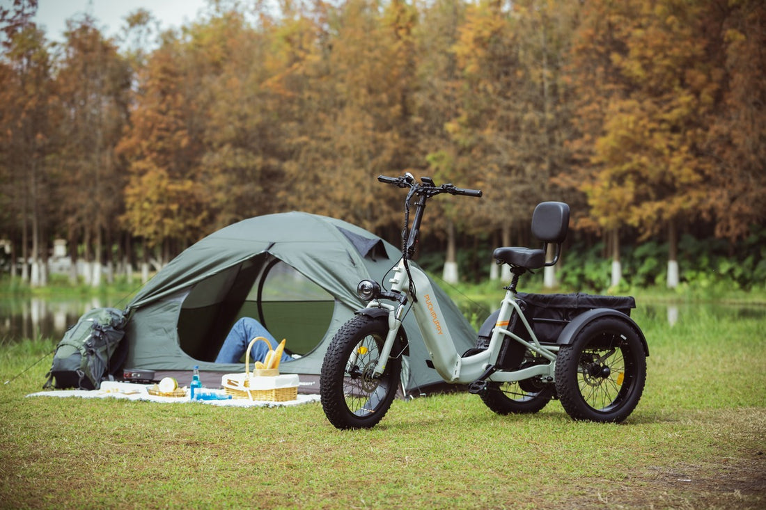 PUCKIPUPPY Husky - folding electric trike