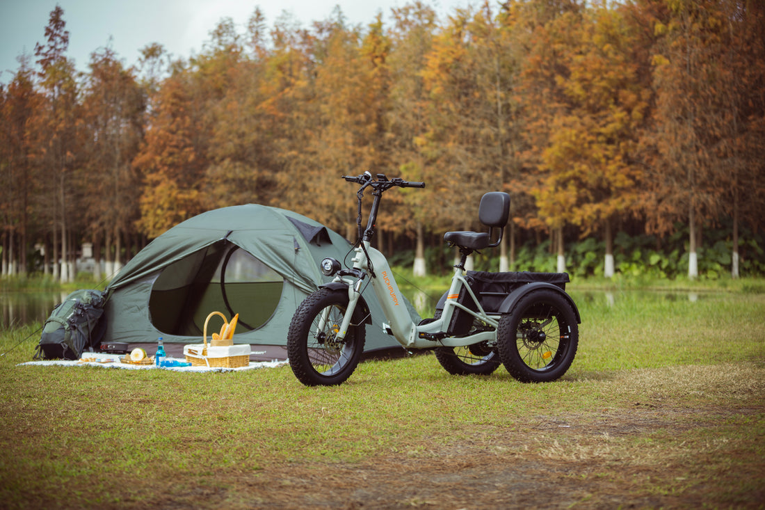 PUCKIPUPPY - electric bike for seniors