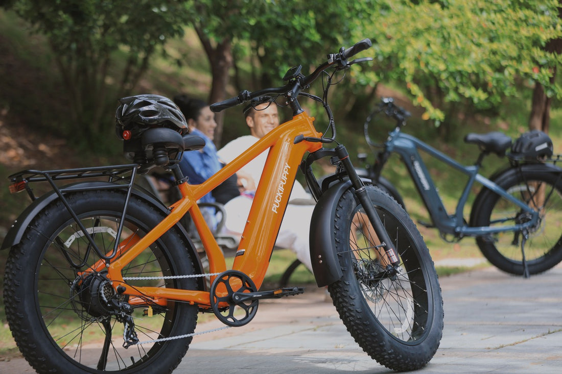 PUCKIPUPPY Beagle - electric commuter bike