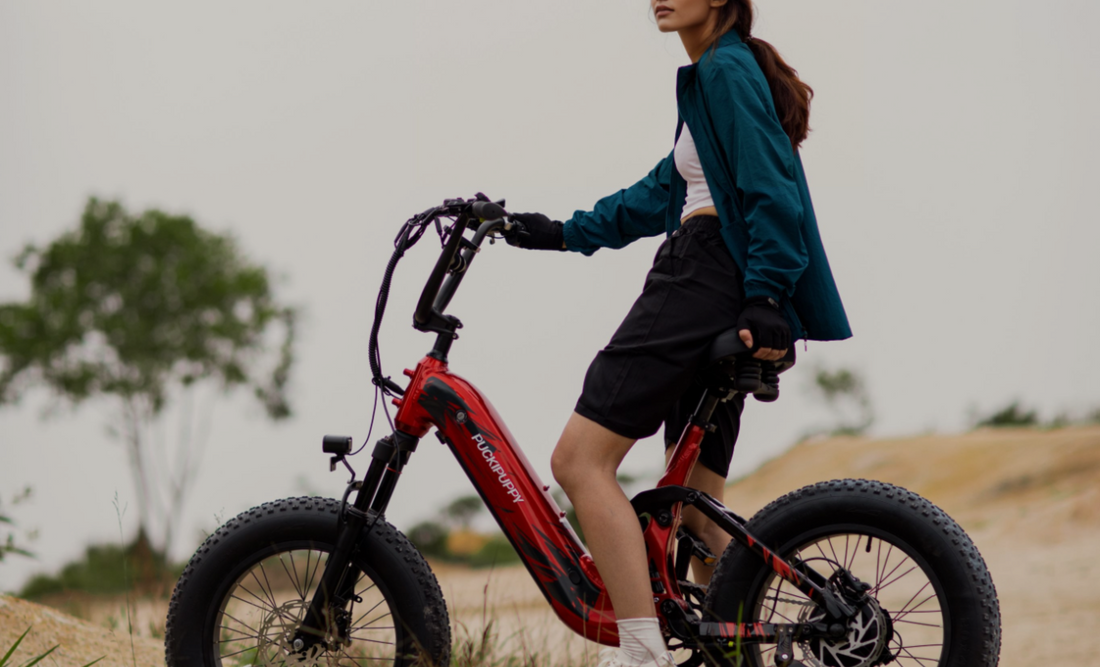 Fat tire electric hunting bike sale