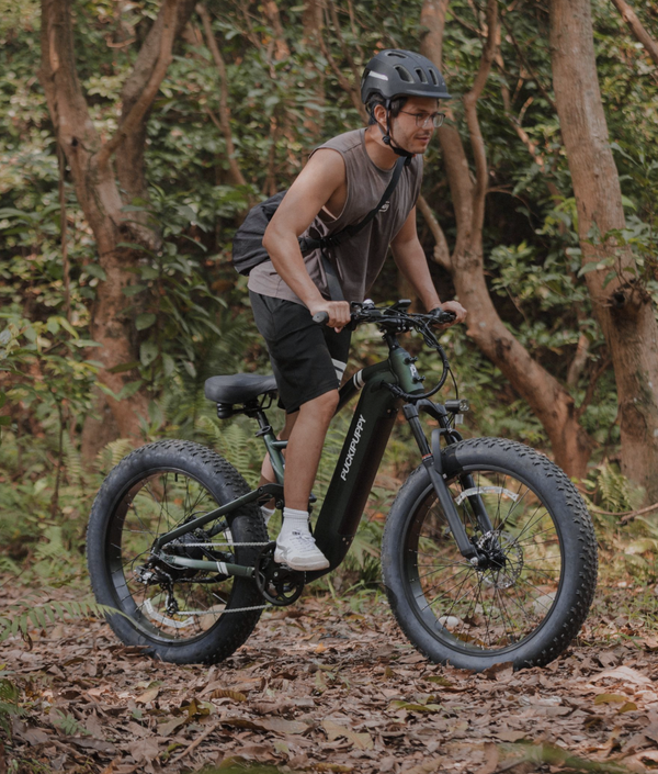 What is Boxer E-bike